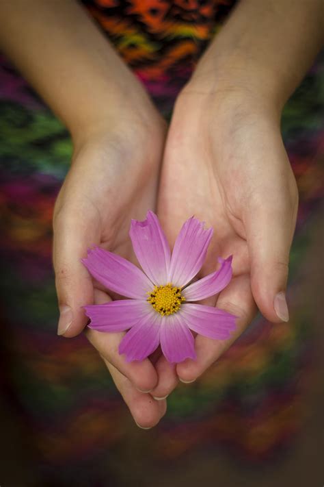 Hands Holding Flower Photograph By Debbie Pearson Pixels