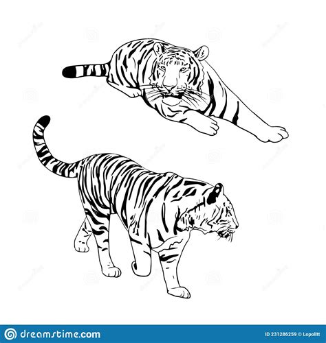 Two Tigers Black Silhouettes On White Background Chinese Tiger Simple