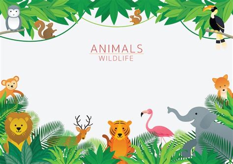 ジャングルイラストの野生動物の4つのフレーム 無料のベクター
