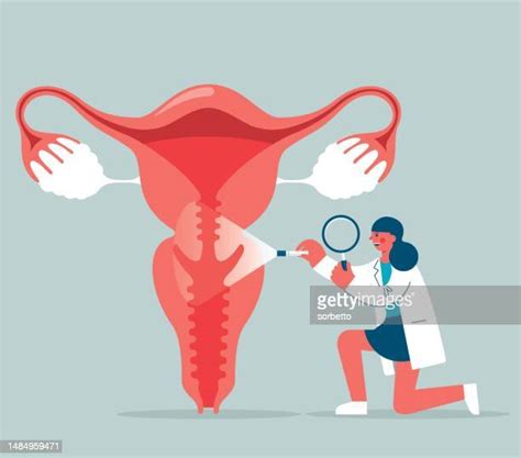 Cross Section Coitus Photos And Premium High Res Pictures Getty Images