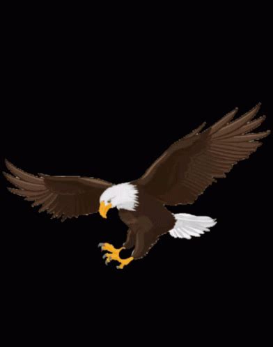 Eagle Gif Eagle Discover And Share Gifs