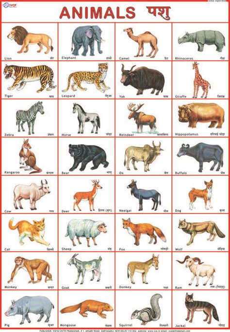Animals Hindi Language Learning Animals Name In English Hindi Poems