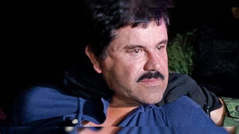 El chapo escapes prison and gets the government to back him as leader of a cartel federation. No exit: El Chapo likely off to 'Alcatraz of the Rockies' | Fox News