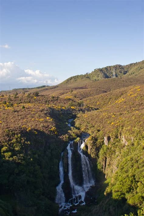 Waipunga Falls Stock Photo Image Of Falls Zealand Waterfall 7305282