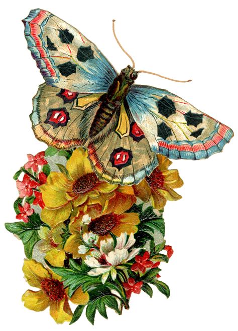 Butterfly Clip Art Archives The Cottage Market