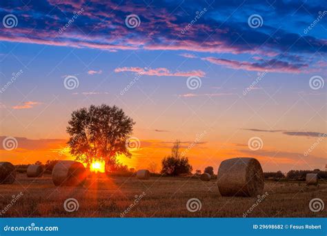 Sunset Field Tree And Hay Bale Stock Photo Image Of Field