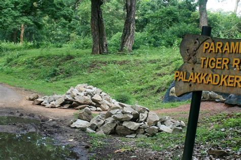 Parambikulam Wildlife Sanctuary Palakkad Experience Kerala