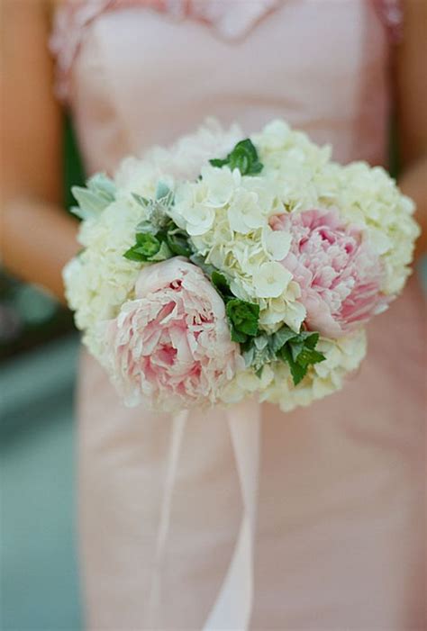 25 Organic Wedding Bouquets White Hydrangea Wedding Hydrangeas