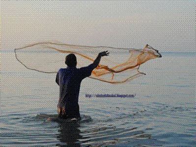 Check spelling or type a new query. Jual Jala Ikan