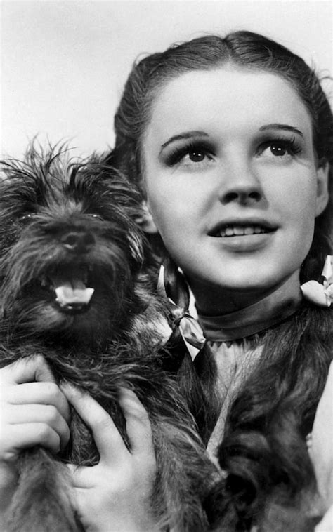Judy Garland Was Molested By Munchkins On The Set Of Wizard Of Oz