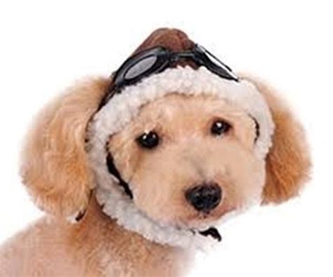 Aviator Hat With Goggles And Themed Charm For Dogs Daiseys Doggie Chic
