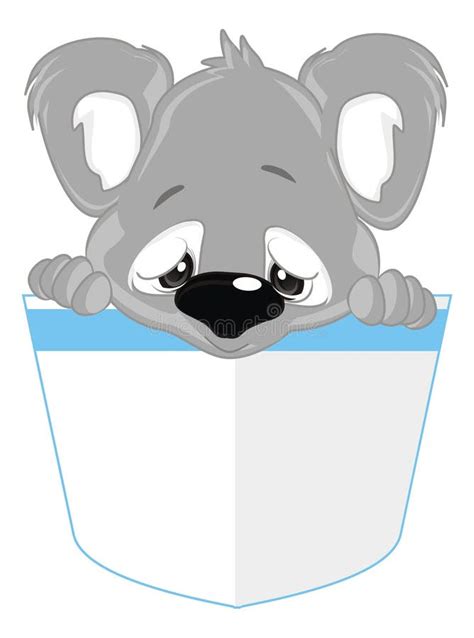 Baby Koala Look At You Stock Illustration Illustration Of Koala