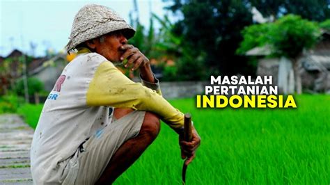 Permasalahan Pertanian Di Indonesia Penyebab Pertanian Di Indonesia