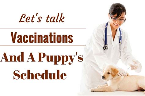 Puppies Shots Chart Schedule And Cost Your Puppy Vaccination Guide 2018