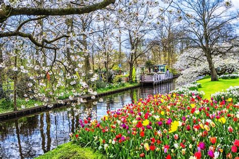 The Netherlands Most Beautiful Spring Garden Has Opened Its Gates—online