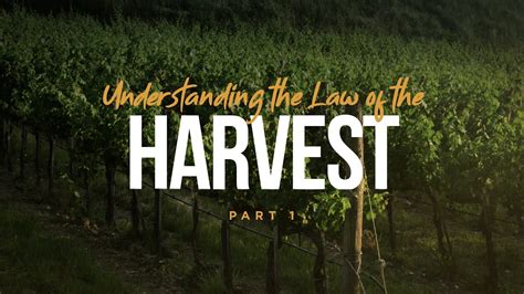Understanding The Law Of The Harvest Pastor Rich Wilkerson 103121