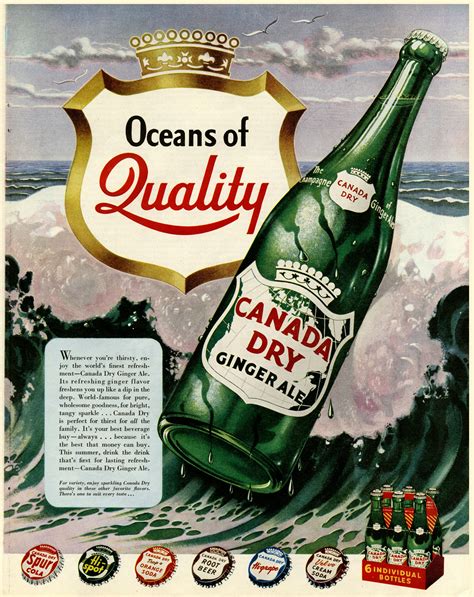 Antique Canada Dry Ginger Ale Bottles Antique Poster