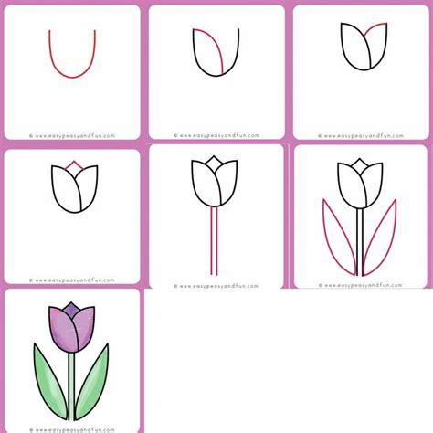 Cara Menggambar Bunga Yang Mudah Dari Mawar Tulip Hingga Teratai