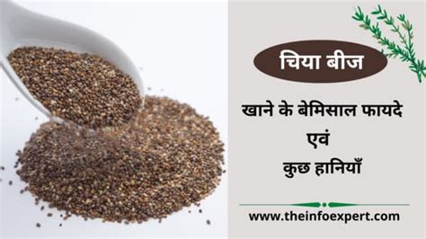 चिया बीज ऐसे खाए बीमारी चुटकियों में दूर भगाए Chia Seeds In Hindi