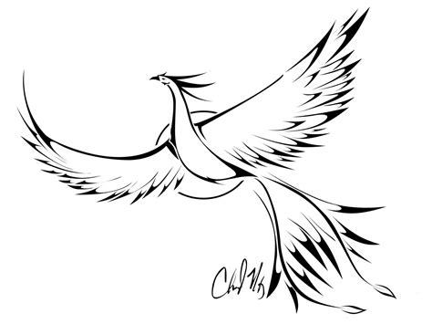 Phoenix Outline Drawing At Getdrawings Free Download