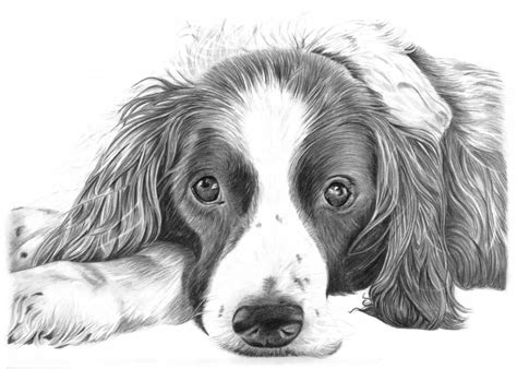 Ugly Drawing Of Dog 10 Dog Obsessed Artists Who Make Gorgeous Pup Art