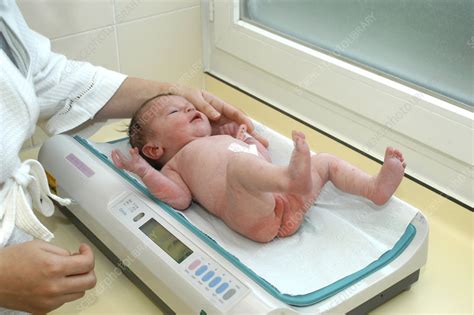 Weight Newborn Baby Stock Image C0040301 Science Photo Library