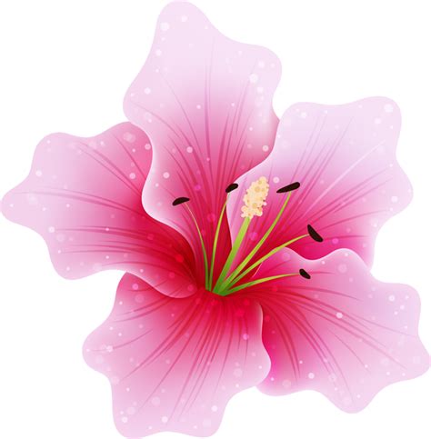 Flor Havaiana Png Free Png Image
