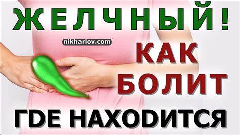 Желчный пузырь холецистит диета Как болит желчный пузырь? Где находится желчный пузырь? Желчекаменная Как болит желчный пузырь? Где находится желчный пузырь? Желчекаменная Желчный пузырь холецистит диета