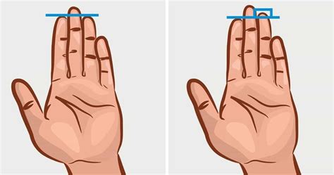 Checkout What Your Finger Length Tells About Your Personality