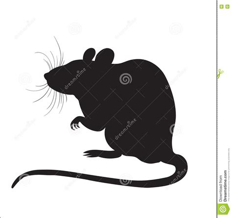 Picture Of Silhouette Of A Rat Stock Vector Illustration Of Rodent
