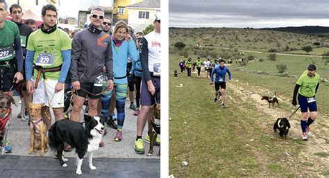 Adopta Y Corre La Carrera Solidaria Con Las Mascotas En Venturada