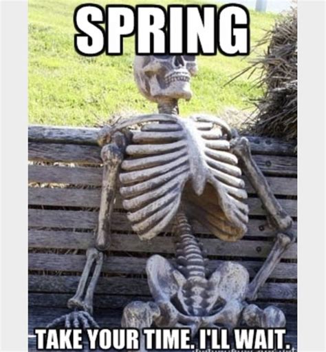These Spring Memes Will Put A Pep In Your Step You Are My Sunshine Memes
