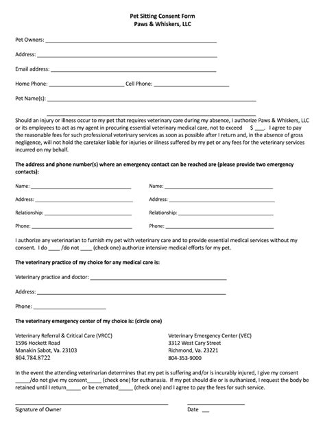 Sitting Consent Form Fill Online Printable Fillable
