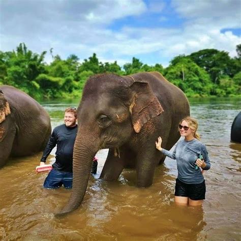 Bangkok Elephant Care Sanctuary