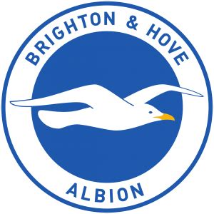 Brighton & Hove Albion FC Logo - PNG e Vetor - Download de Logo