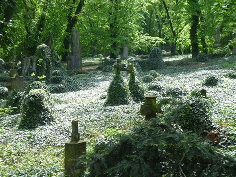 Ancient Cemetery In Prague Gardens Of Stone Cemetery Cemeteries