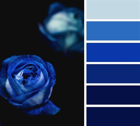 Midnight Blue And Royal Blue Color Scheme Find Beautiful And