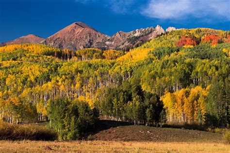 Check Out The Colorado Fall Foliage Map For 2022