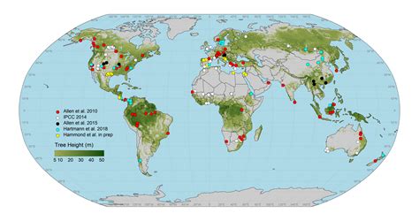 Global Mortality Map International Tree Mortality Network