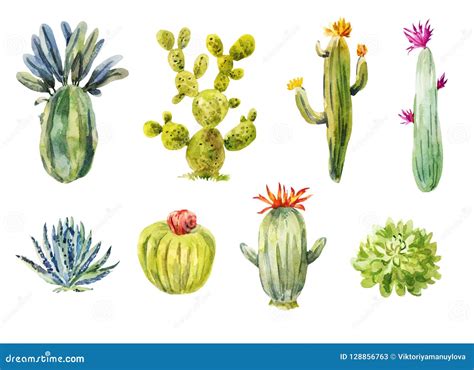 Set Of Different Cacti Watercolor Illustration Stock Illustration