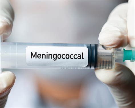 Two Meningococcal Cases In Manly Region Manly Observer