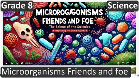 Microorganisms Friends And Foe Class 8 Science Biology Cbse