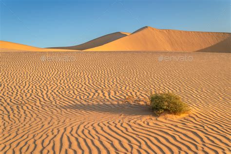 Sand Dunes In The Desert Stock Photo By Chones Photodune