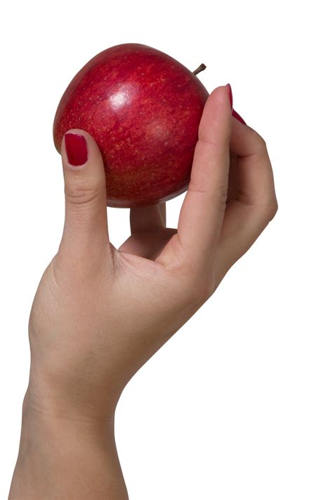 Holding An Apple Png Image For Free Download