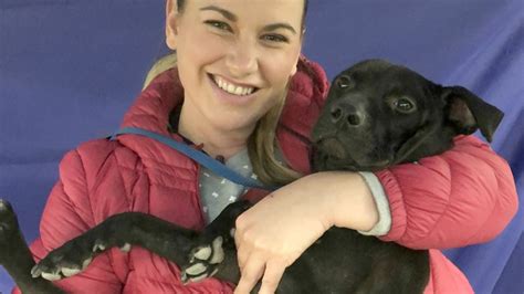 Dedicated to pet health and happiness for. Fort Worth adoption event aims to find homes for 600 ...