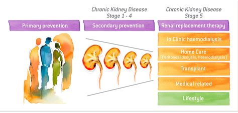 Stages Of Ckd