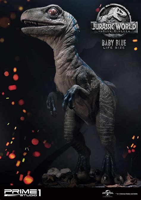 Jurassic world's blue has become the main dinosaur star of the franchise so here's what makes the velociraptor so different from the others. Jurassic World: Fallen Kingdom - Life Size Baby Blue ...
