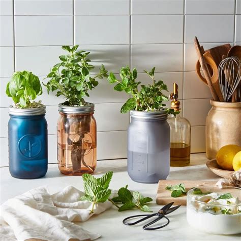 This Self Watering Herb Jar Is Perfect For Beginner Gardeners Herb