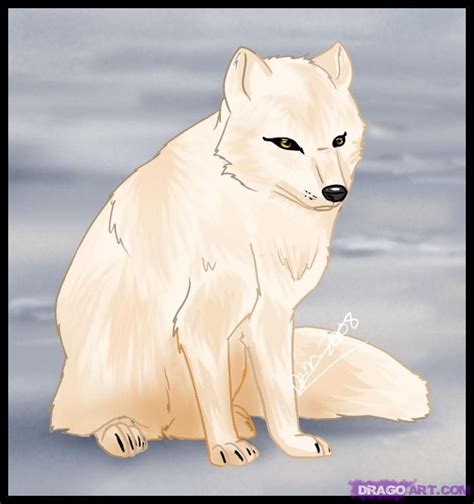 How To Draw A Fox Step By Step Arctic Animals Animals Free Online