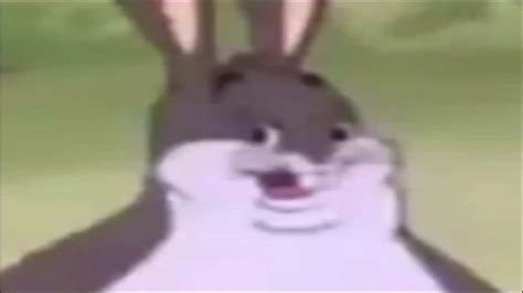 The Best Big Chungus Memes Plus Meaning And Backstory Strong Socials